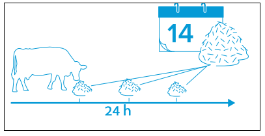 Автоматически сформированное описание графического пользовательского интерфейса